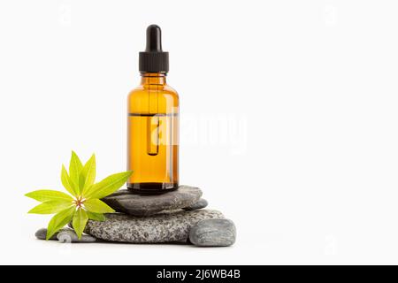 Olio essenziale di erbe su bottiglia ambrata isolato su sfondo bianco. Spazio di copia Foto Stock