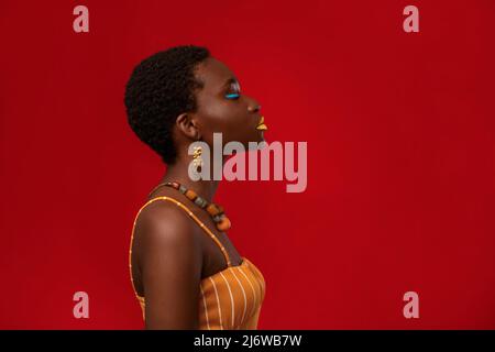 Ritratto di profilo di elegante donna afroamericana su rosso, panorama Foto Stock