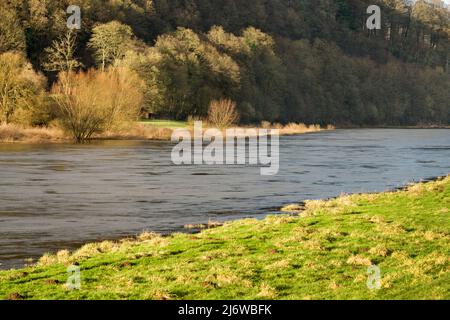 Fiume Weser vicino a Gewissensenruh, Wesertal, Weserbergland, Assia, Germania Foto Stock