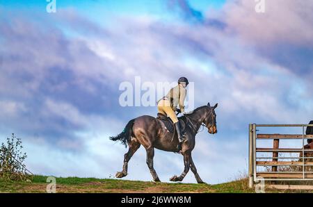 Un pilota che galoppa sullo skyline su un cavallo contro un cielo tempestoso Foto Stock
