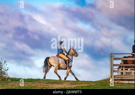 Un pilota che galoppa sullo skyline su un cavallo contro un cielo tempestoso Foto Stock