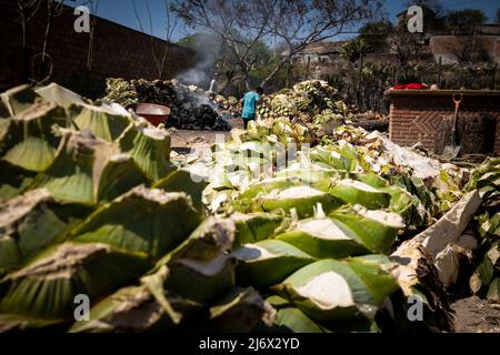 Gracias a dios mezcal, mezcaleria a Oaxaca, Messico Foto Stock