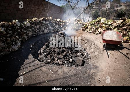 Gracias a dios mezcal, mezcaleria a Oaxaca, Messico Foto Stock