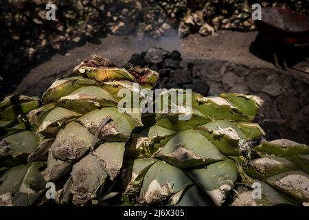 Gracias a dios mezcal, mezcaleria a Oaxaca, Messico Foto Stock