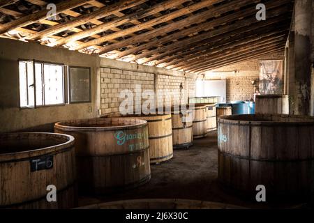 Gracias a dios mezcal, mezcaleria a Oaxaca, Messico Foto Stock