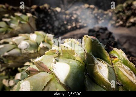 Gracias a dios mezcal, mezcaleria a Oaxaca, Messico Foto Stock