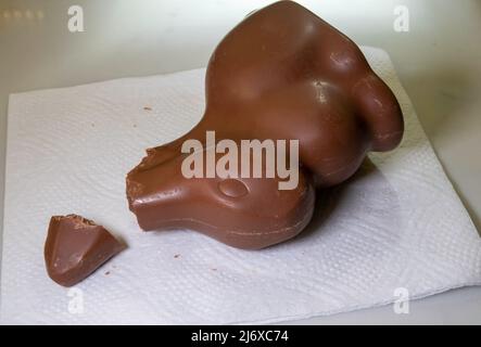 Cioccolato al latte Lindt Easter Bunny Candy con orecchie mangiate, 2022, USA Foto Stock