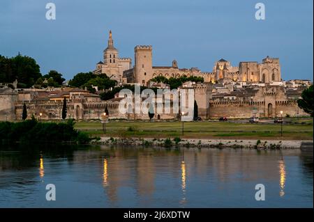 Avignone visto dal fiume Rhône Foto Stock