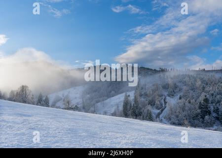 Splendido paesaggio invernale in nebbia brillante. Paesaggio naturale meraviglioso in montagna con alberi di abete su un pendio innevato ondulato. Foto Stock