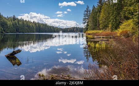 Bellissimo paesaggio di un lago in una foresta. Rolley Lake Provincial Park vicino alla città di Mission nella British Columbia, Canada. Foto di viaggio, nessuno, sel Foto Stock