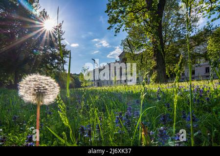 Wien, Vienna: park Liechtenstein, palazzo giardino per la vedova del principe di Heinrich von Ferstel nel 09. Alsergrund, Vienna, Austria Foto Stock