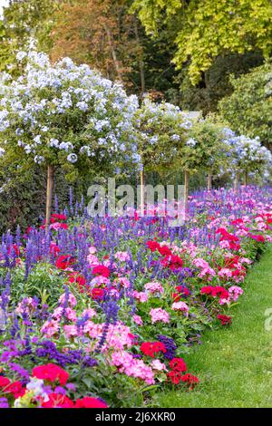 Fiori e fiori nei Jardin du Luxembourg, Parigi, Ile-de-France, Francia Foto Stock