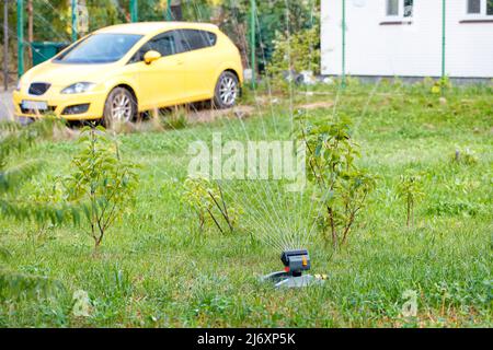 Annaffiatura automatica di un prato verde e cespugli giovani nel cortile sullo sfondo di una parte della casa e di una macchina gialla in una giornata estiva. Foto Stock