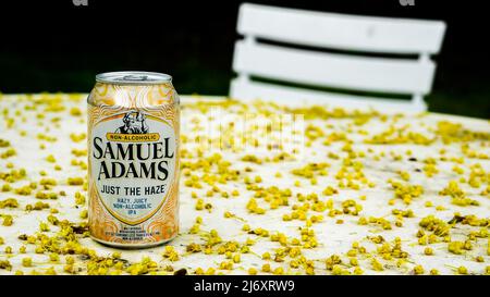 NORWALK, CT, USA - 1 MAGGIO 2022: Birra non alcolica Samuel Adams IPA sul tavolo da giardino al di fuori coperto dalla poluzione degli alberi in primavera Foto Stock