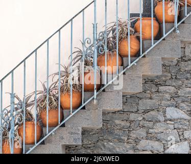 Aloe pianta in contenitori di terracotta su gradini in Spagna Foto Stock