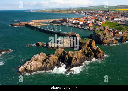 Vista aerea della città e del porto a Dunbar in East Lothian, Scozia, Regno Unito Foto Stock