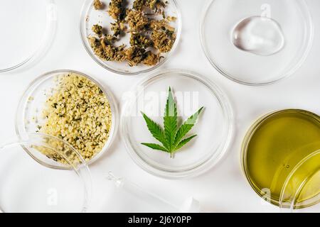 Olio di cannabis, foglie di canapa, fiori secchi e semi sbucciati in laboratorio. Vista dall'alto. Capsule di Petri e vetreria su tavolo da laboratorio. Concetto di dermatologia, trattamento alternativo. Super cibo o cosmetici naturali Foto Stock