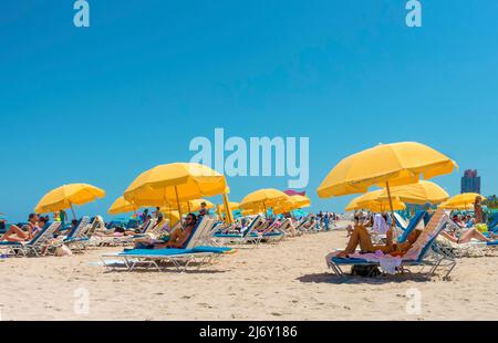 Persone sui lettini da spiaggia sotto gli ombrelloni gialli a Miami Beach, Miami, Florida, USA con spazio per fotocopie Foto Stock