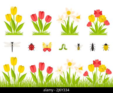 Giardino primavera fiori. Un cespuglio di tulipani, narcisi, papaveri. Fiori in erba, prato. Raccolta di insetti. Elementi di disegno botanici in un carto Illustrazione Vettoriale