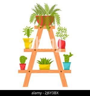 Raccolta di piante domestiche in pentole. Piante decidue, succulenti in vasi di fiori. Le piante si erigono su un'asta di fiori. Stile cartoon flat. Vettore colore i Illustrazione Vettoriale