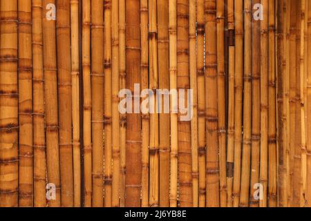 Sfondo marrone della texture di bambù proveniente da cannucce di bambù naturale. La scherma orientale asiatica ha un bel motivo giallo, struttura recinzione di giorno Foto Stock