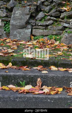 L'autunno parte sulle scale del parco Foto Stock