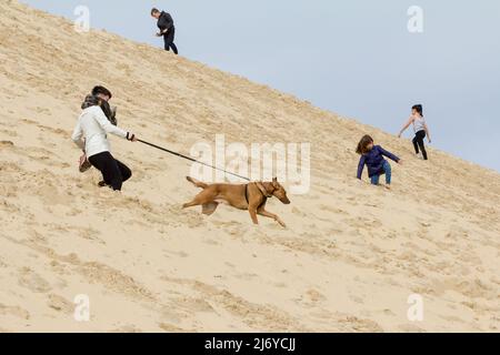 Foto di persone, una ragazza, scendere la duna Pyla Sand, correre, cercando di controllare il suo cane durante un pomeriggio di sole. La Duna di Pilat (Dune du pila Foto Stock