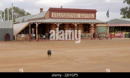 SILVERTON, AUSTRALIA - GIUGNO 15 2021: Cane kelpie fuori dallo storico hotel di silverton vicino a Broken Hill Foto Stock