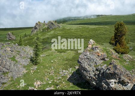 Scogliere di pietra sul fianco della montagna. In cima cresce un albero di cedro. Catena montuosa di Seminsky ad Altai, Siberia. Foto Stock