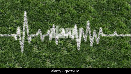 Esercizio e salute o attività fisica con una linea bianca dipinta a forma di grafico ECG medico su un campo sportivo verde in erba. Foto Stock