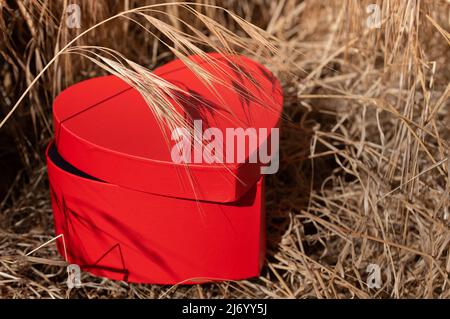 Primo piano di una lattina semiaperta a forma di cuore. Il CAN è rosso. Il cuore si trova tra erbe secche in natura Foto Stock