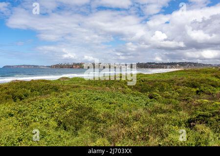 Long Reef sulla costa orientale di Sydney, regione delle spiagge settentrionali, NSW, Australia Foto Stock