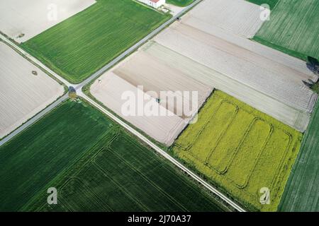 Vista aerea dal drone, una vista a volo d'uccello dei campi agricoli con una strada attraverso e un trattore su di esso in primavera Foto Stock