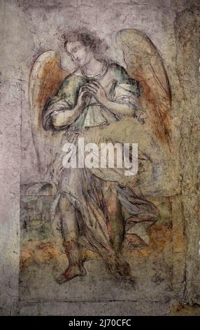 Angelo - affresco - Floriano Ferramola - 1524 - Brescia, Sacello di S.Maria in Solario presso il Museo del Monastero di Santa Giulia Foto Stock