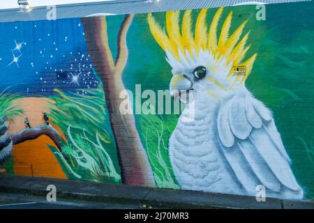 Sulphur-crested Cockatoo Street Art, Baylie Place, Geelong, Victoria, Australia Foto Stock