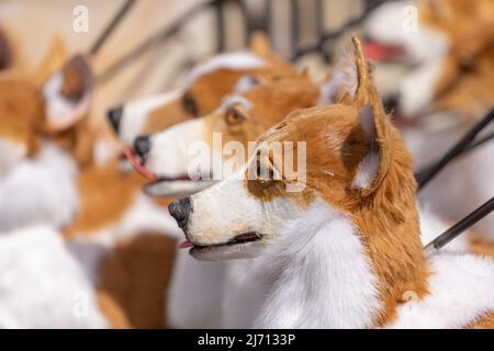 Coventry, Regno Unito. 5th maggio 2022. Puppet corgis creato da Coventry based eventi azienda di produzione Imagineer si siedono pazientemente mentre l'azienda prepara il suo contributo al Giubileo del platino della Regina Pageant il mese prossimo. I corgis fanno parte della mostra The Queen's Favorites. Credit: Peter Lopeman/Alamy Live News Foto Stock