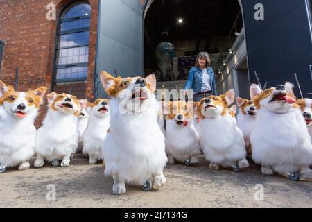 Coventry, Regno Unito. 5th maggio 2022. Puppet corgis creato da Coventry based eventi azienda di produzione Imagineer si siedono pazientemente mentre l'azienda prepara il suo contributo al Giubileo del platino della Regina Pageant il mese prossimo. I corgis fanno parte della mostra The Queen's Favorites. Credit: Peter Lopeman/Alamy Live News Foto Stock