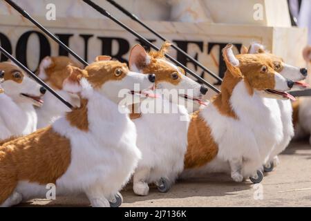 Coventry, Regno Unito. 5th maggio 2022. Puppet corgis creato da Coventry based eventi azienda di produzione Imagineer si siedono pazientemente mentre l'azienda prepara il suo contributo al Giubileo del platino della Regina Pageant il mese prossimo. I corgis fanno parte della mostra The Queen's Favorites. Credit: Peter Lopeman/Alamy Live News Foto Stock