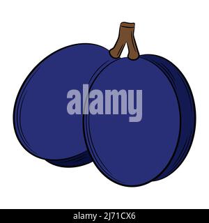 Prugna, albicocca su un rametto, frutta in stile lineare. Elemento decorativo vettoriale colorato, disegnato a mano. Illustrazione Vettoriale