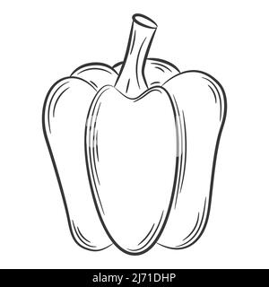 Peperone paprika. Una verdura in stile lineare, disegnata a mano. Ingrediente alimentare, design element.Lineart. Illustrazione vettoriale in bianco e nero. Isolato o Illustrazione Vettoriale