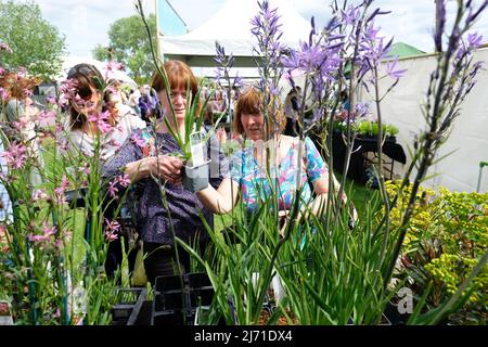 Malvern, Worcestershire, Regno Unito – Giovedì 5th Maggio 2022 – visitatori impegnati a fare acquisti per le piante il giorno di apertura del 35th° RHS Malvern Spring Festival del giardinaggio e delle piante. Lo spettacolo presenta sei giardini e un Platinum Jubilee Garden. Foto Steven Maggio / Alamy Live News Foto Stock