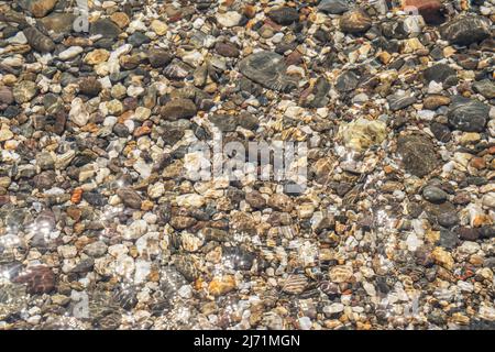 Ciottoli sotto l'acqua. Pietre di mare nell'acqua di mare. La vista dall'alto. Sfondo nautico. Mare trasparente. Foto Stock