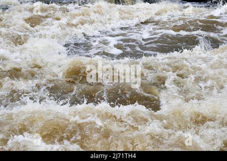 Forte corrente in un fiume selvaggio, Chateauguay River, provincia di Quebec, Canada Foto Stock