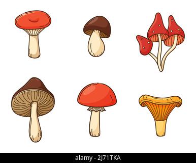 Una serie di doodles colorati di funghi. Funghi commestibili autunnali. Elementi con tratto e riempimento. Immagine vettoriale a colori isolata su sfondo bianco Illustrazione Vettoriale