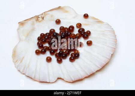 Sojasauce-Perlen a Muschelschale, Molekularkueche Foto Stock