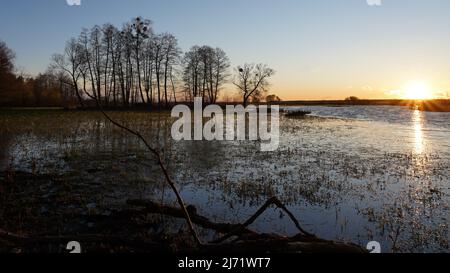 Inizio primavera a Biebrza, pianure alluvionali in aprile, tramonto su zone umide, alberi, acqua, cielo e spazio di copia Foto Stock