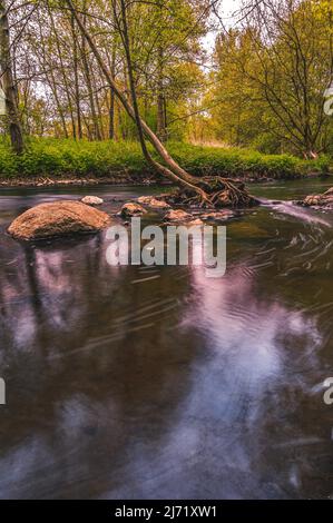 Langzeitbelichtung von einem kleinen Bach neben dem Fluss Leine in der naehe von den Ricklinger Kiesteichen, Hannover, Niedersachsen, Deutschland Foto Stock