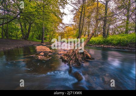 Langzeitbelichtung von einem kleinen Bach neben dem Fluss Leine in der naehe von den Ricklinger Kiesteichen, Hannover, Niedersachsen, Deutschland Foto Stock