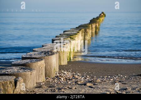 Groynes che sporge all'orizzonte nel Mar Baltico. Lunga esposizione con colori silenziati. Paesaggio girato dal mare Foto Stock