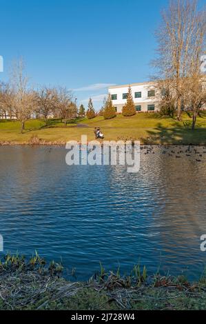 Duck Pond Park dietro la biblioteca pubblica Hillsboro Brookwood di Hillsboro, Oregon Foto Stock
